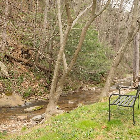 Hawks Nest Mountain Cabin Sevierville Extérieur photo